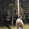 無尾熊🐨