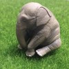 草田徐
