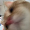 剪配暈