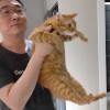柏青ㄍ