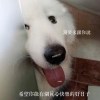 鄭雯雯