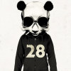 pandawazup