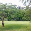 Paria