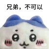 kjwxjcsdb8