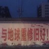 树树