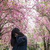 Xuan