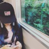 Phoebe H菲比