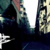 凤凰鸣 FK.MOSES
