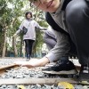 小米lin