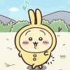 pigmilky