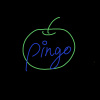 pingo