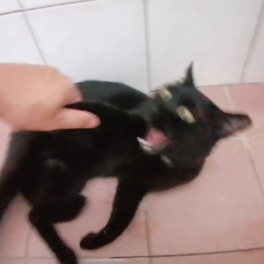 ACTIVATE