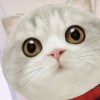 Yuu?