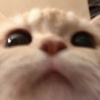 zhuang_