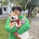 龍龍