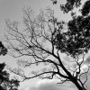 nothingness