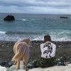 極地狼