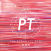 Pomegranate Tree 石榴樹樂團