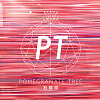 Pomegranate Tree 石榴樹樂團