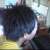 pomelo_2023