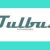 Tulbus詠恩