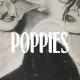 poppies