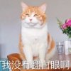 金鱼汤