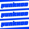 胖虎 punkhoo
