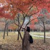 依那圏