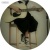 qiao_chi