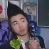 河马