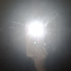 qizhen_lin