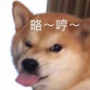 请假条