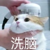 qu__Y