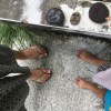 珊泥