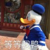 ququ_