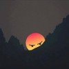 小太陽