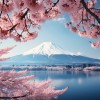 詡
