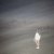 Hsin-Yun Chang