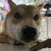 欸姆兮
