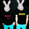 Rabbit is Rich