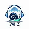 內耳重建工程NEiR 741