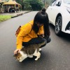 (๑´ڡ`๑)