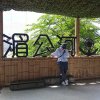 魚小緑