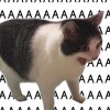サ²