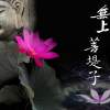 黃沙樂隊