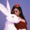唯又斐 Raylee Forest