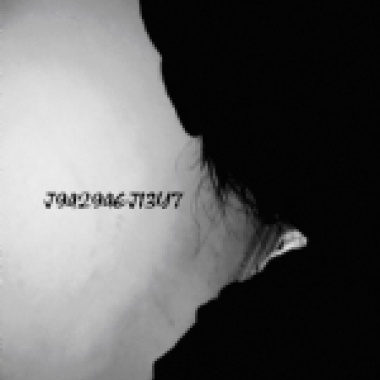 我活著不是我