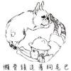 小象LE