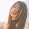 red_light1223
